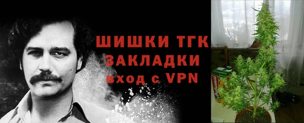 ECSTASY Бронницы