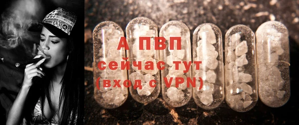 ECSTASY Бронницы