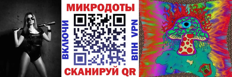 блэк спрут Сосногорск Псилоцибиновые грибы Cubensis как найти